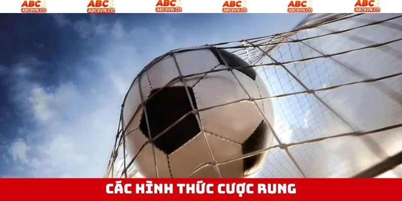 Cược Rung Là Gì? Kinh Nghiệm Chọn Kèo Hay Tại Nhà Cái ABC8 3 Thể loại cược rung hấp dẫn cho hội viên ở ABC8