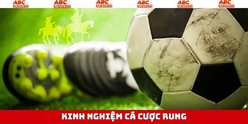 Cược Rung Là Gì? Kinh Nghiệm Chọn Kèo Hay Tại Nhà Cái ABC8 4 Bí quyết chọn cược rung thắng khủng từ cao thủ
