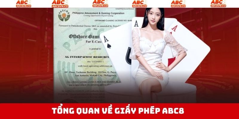 Tổng quan về ý nghĩa quan trọng của giấy phép ABC8