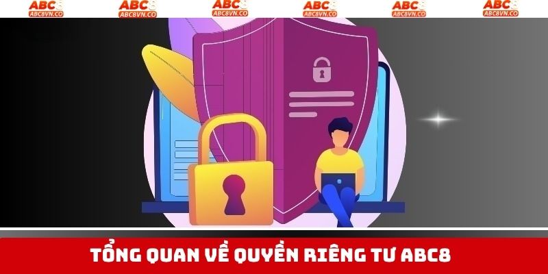 Tổng quan chi tiết chính sách quyền riêng tư